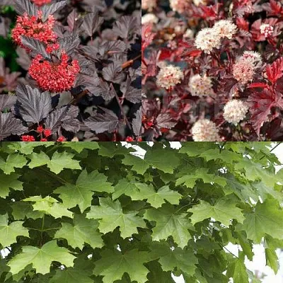 Комплект ОСЕННИЙ КОСТЕР в Домодедове