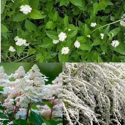 Комплект СКАНДИНАВСКИЙ СТИЛЬ в Домодедове