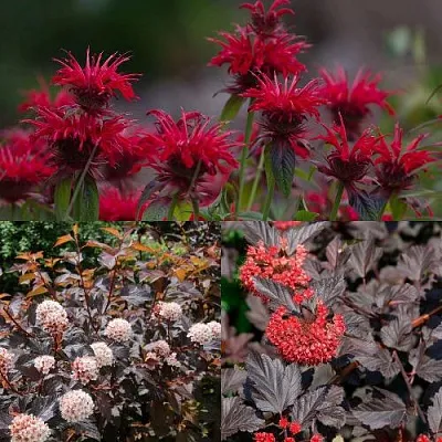 Комплект ОГНЕННЫЙ МИКС в Домодедове