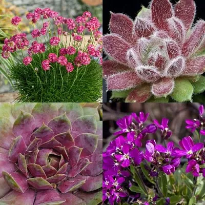 Комплект МИНИ САД в Домодедове